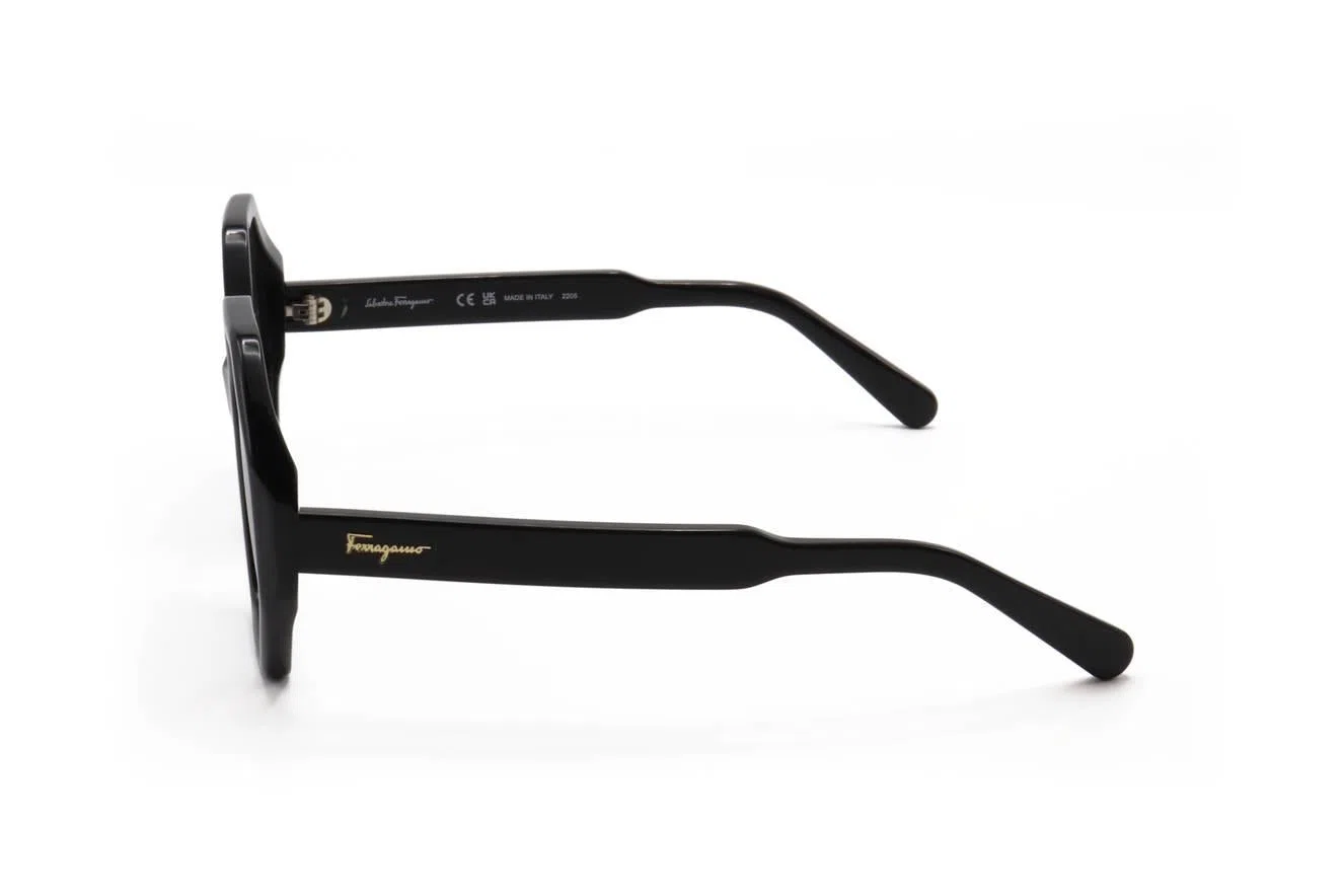 Ferragamo SF1070S Sunglasses - view 4
